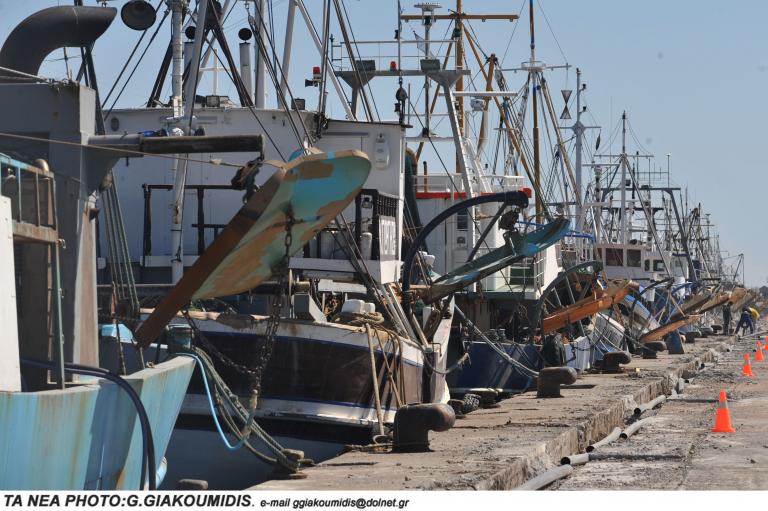 Κατασχέθηκαν 198 κιλά ψάρια στη Ν. Μηχανιώνα | tanea.gr