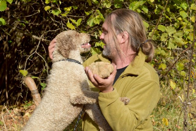 Ο Τρουφοκυνηγός