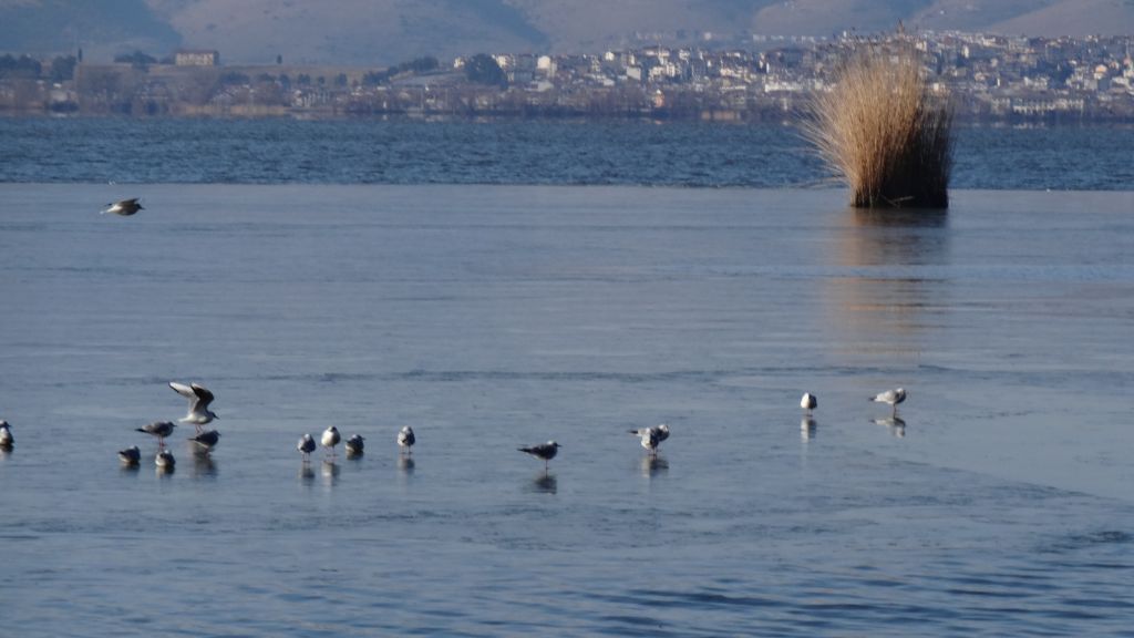 Στο ΕΣΠΑ η διαχείριση λυμάτων στα Ιωάννινα