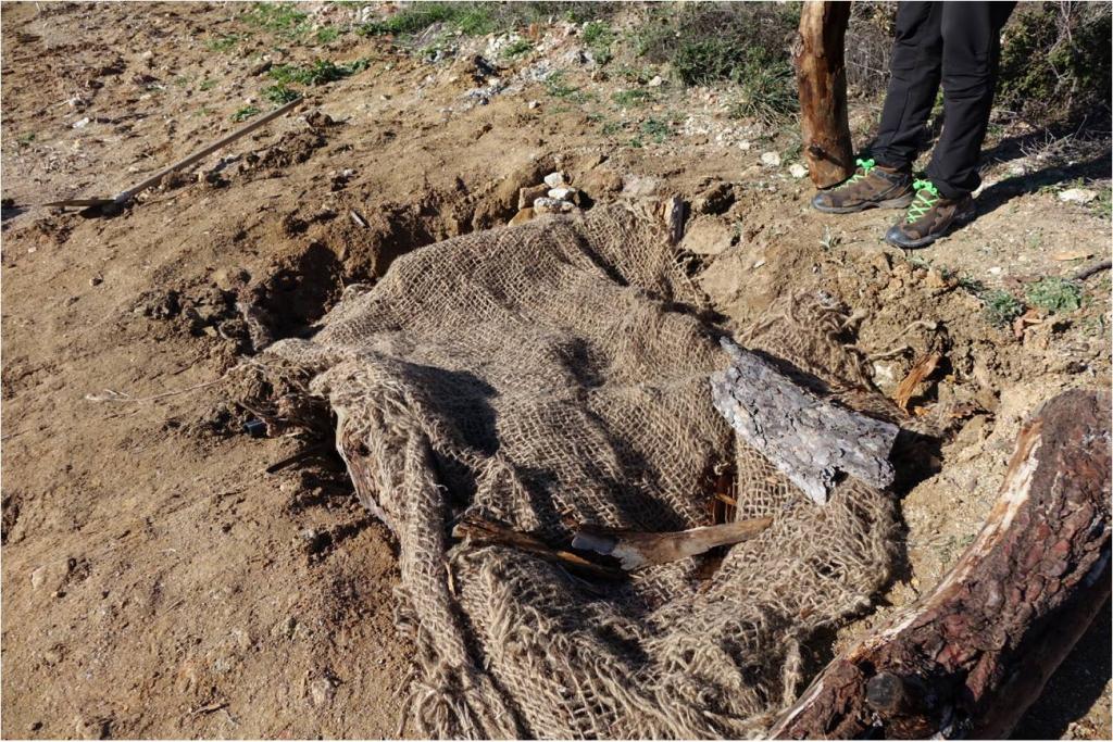 Λάκκους για… φίδια έφτιαξαν επιστήμονες