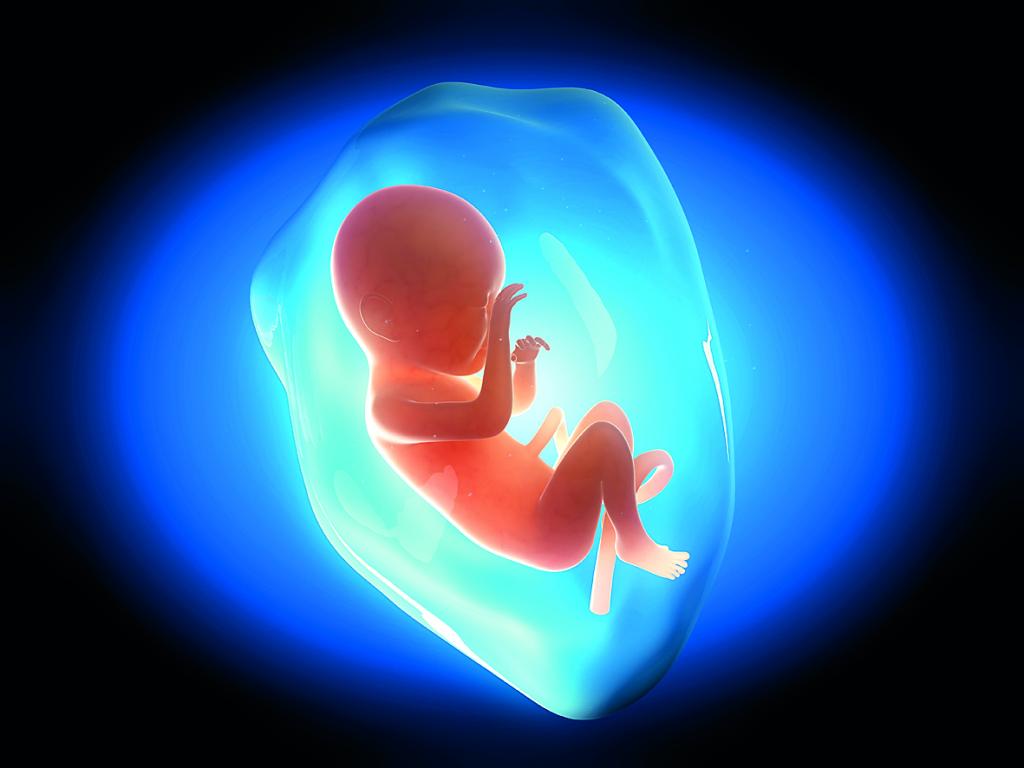 Θετικά τα αποτελέσματα της εξωσωματικής ακόμα και με κατεψυγμένα έμβρυα