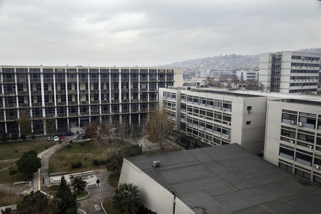 Επιδρομή ποντικιών στο ΑΠΘ