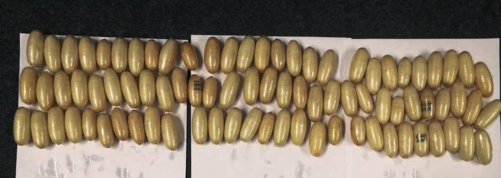 Συνελήφθη 25χρονος με 1,1 κιλό κοκαΐνης στο στομάχι