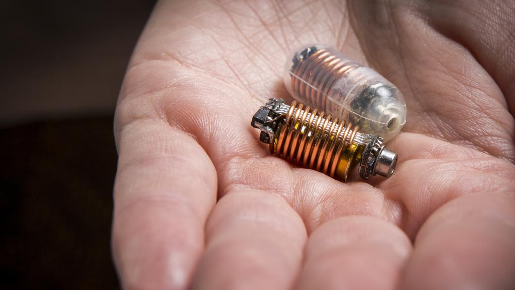 Μια ηλεκτρονική κάψουλα αποκαλύπτει τα μυστήρια του εντέρου