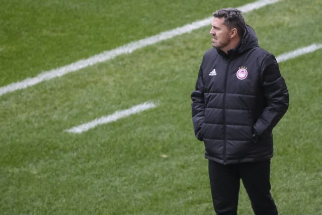 Γιατί γίνονται ξανά μόδα οι ίβηρες