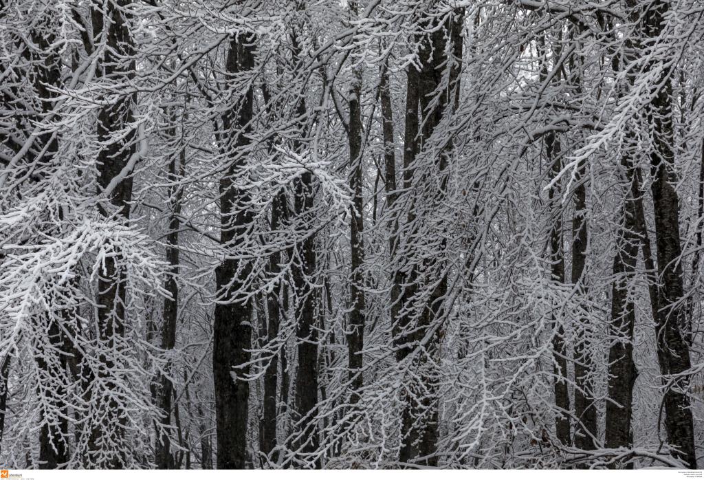 Φλώρινα: Με καθυστέρηση θα χτυπήσει το κουδούνι στα σχολεία