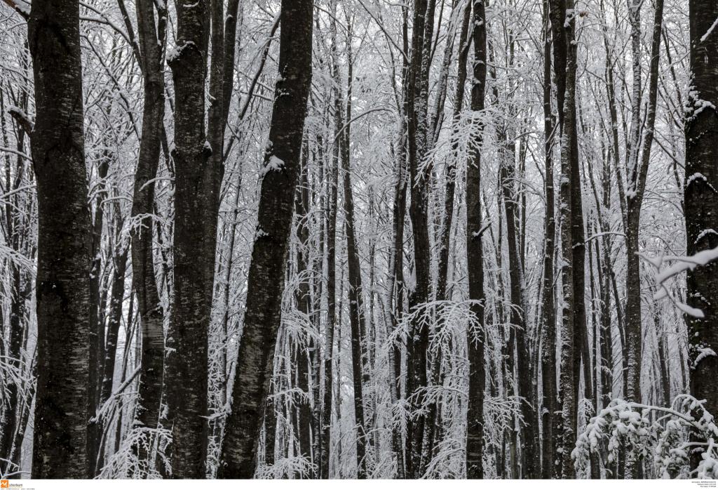 Ακραία καιρικά φαινόμενα στην Ελλάδα – Τα ρεκόρ ζέστης και κρύου