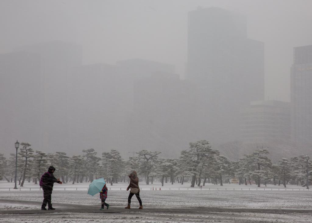 Ιαπωνία: Δεκάδες τραυματίες από τις σφοδρές χιονοπτώσεις
