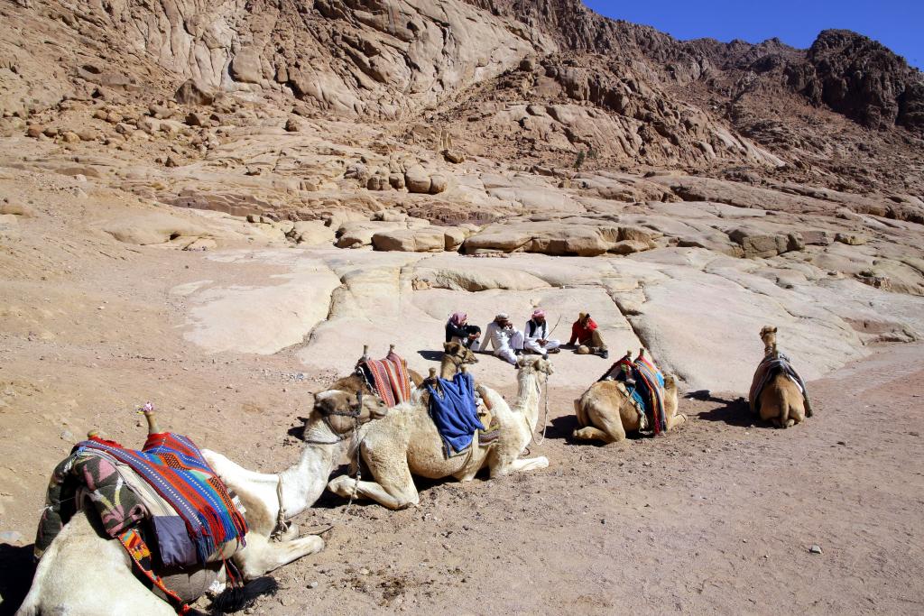 Δεινόσαυροι στην Αίγυπτο