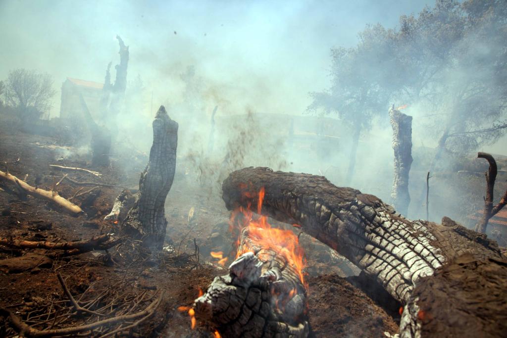 Στον Εισαγγελέα 46χρονος για εμπρησμούς στα Σπάτα