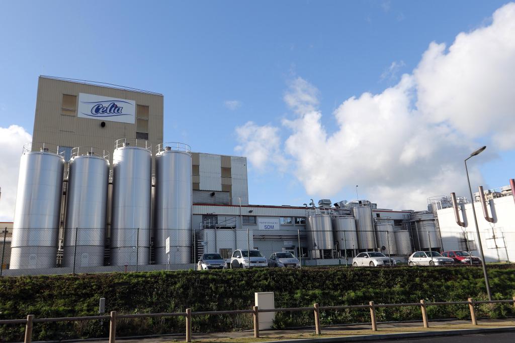 Εκατοντάδες εκατ. ευρώ το κόστος από το γάλα με σαλμονέλα