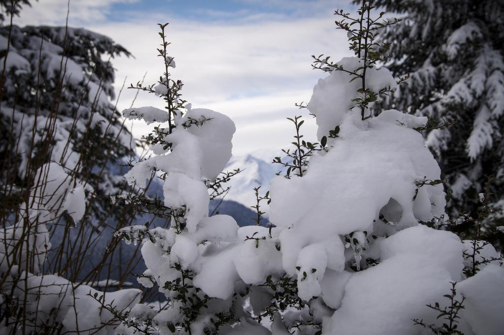 Μισό μέτρο χιόνι στο νομό Τρικάλων