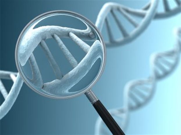 Εντοπίστηκε γονίδιο με καθοριστικό ρόλο στη στεφανιαία νόσο | tanea.gr