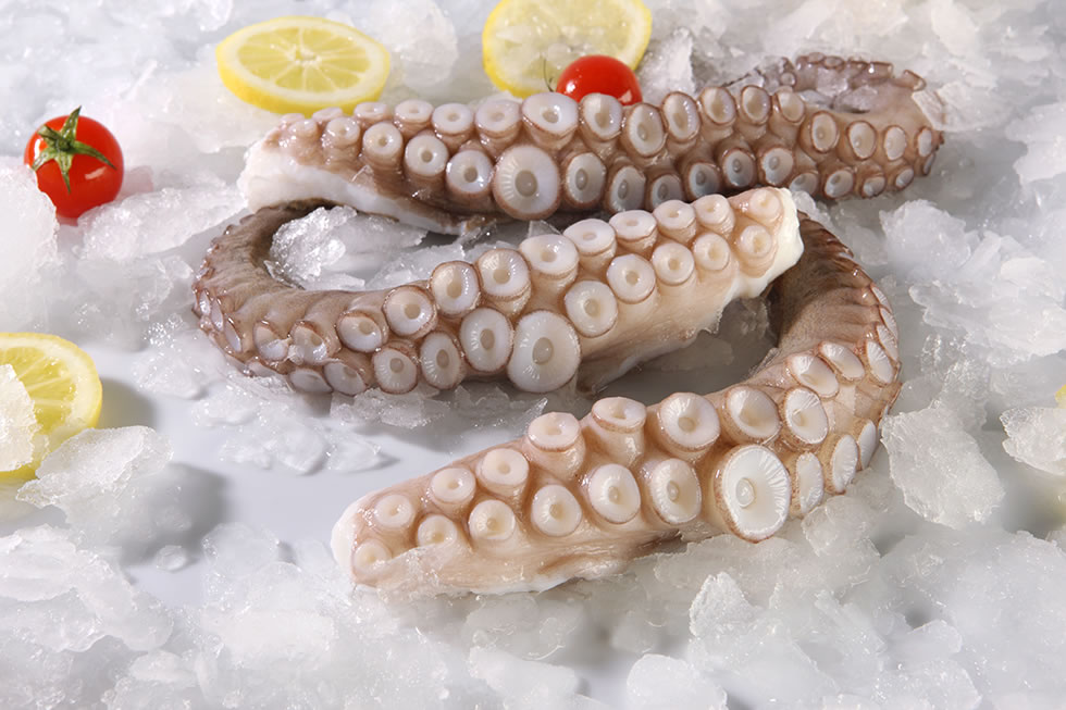 Πειραιάς: 2,2 τόνοι ακατάλληλων θραψάλων σε επιχείρηση