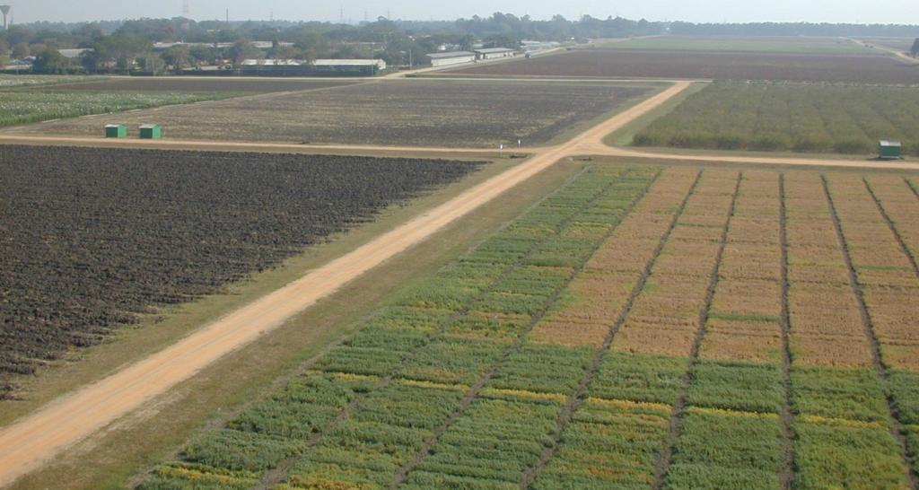 Δηλώστε και σώστε τα ακίνητά σας – Αναλυτικός οδηγός