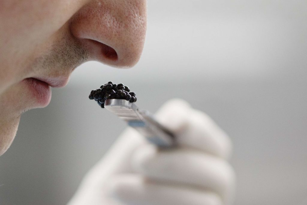 «Οχι» στα πυρηνικά, «ναι» στο πανάκριβο ιρανικό χαβιάρι