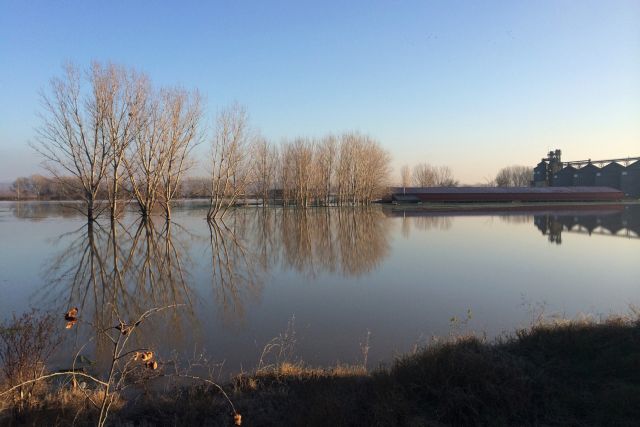 Φούσκωσαν τα νερά στους ποταμούς του Εβρου (Βίντεο)