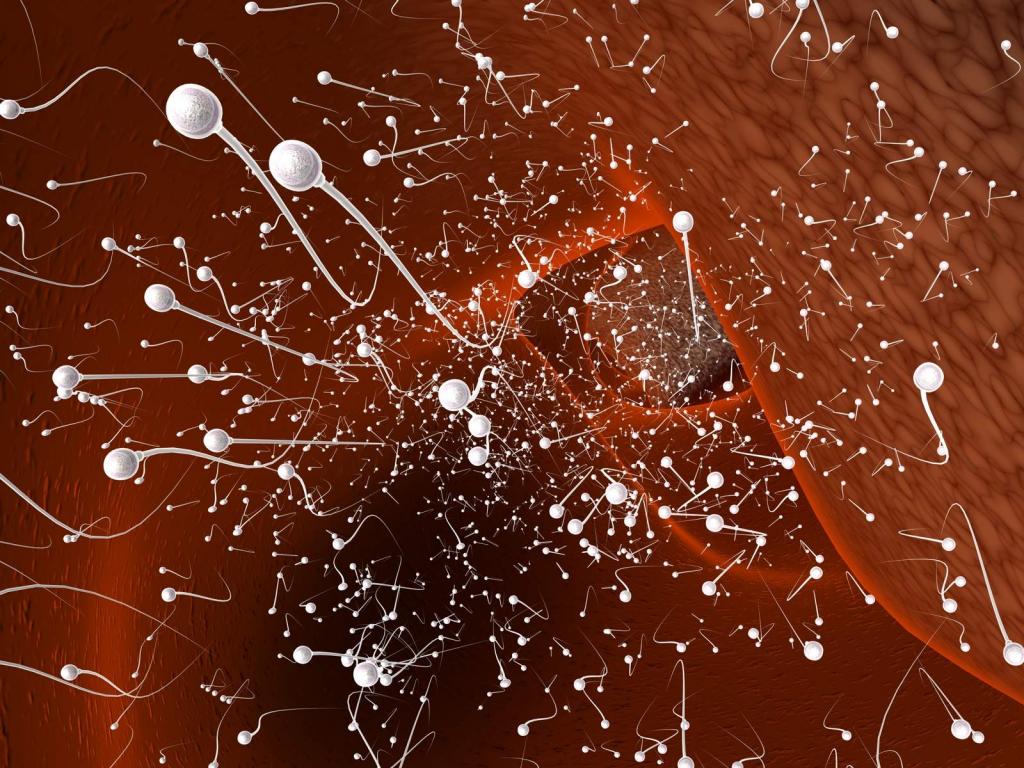 Τα λίγα σπερματοζωάρια ένδειξη κακής υγείας ενός άνδρα