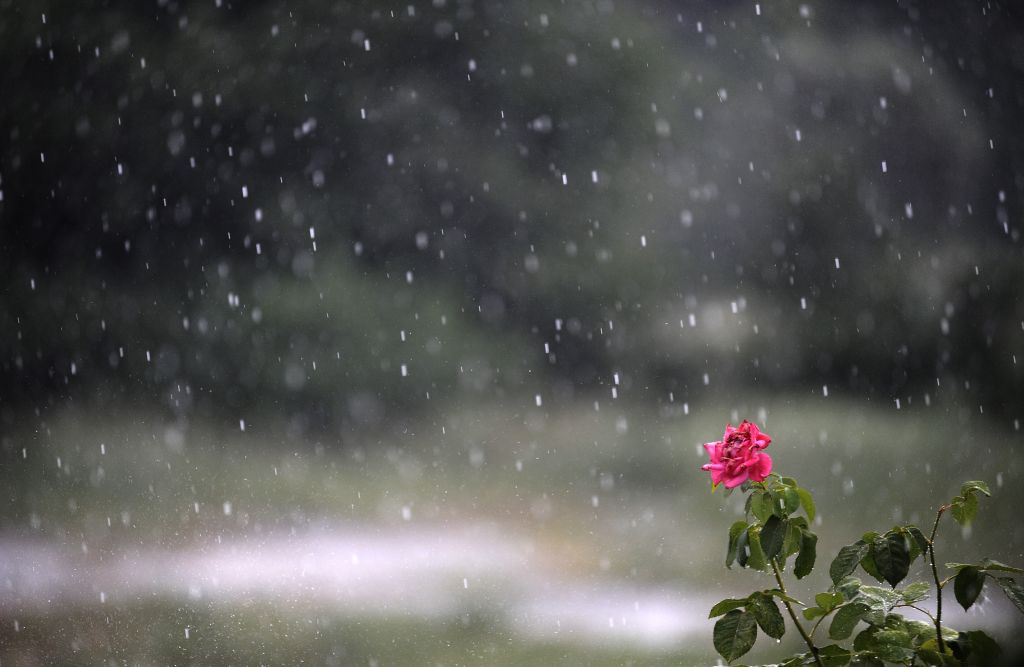 Ευρωπαϊκό ρεκόρ βροχόπτωσης στη Ζαγορά Πηλίου