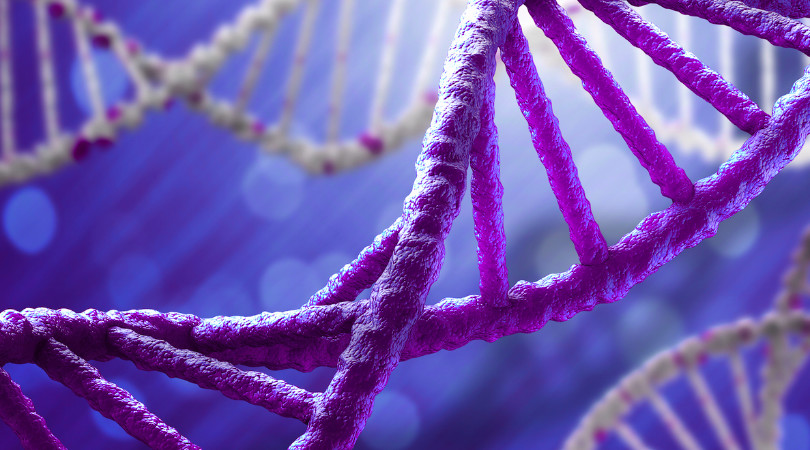 Δημιουργήθηκε το μεγαλύτερο οικογενειακό δέντρο με 3 εκατ. μέλη!