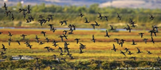 Εβρος, «το ποτάμι των νεκρών»