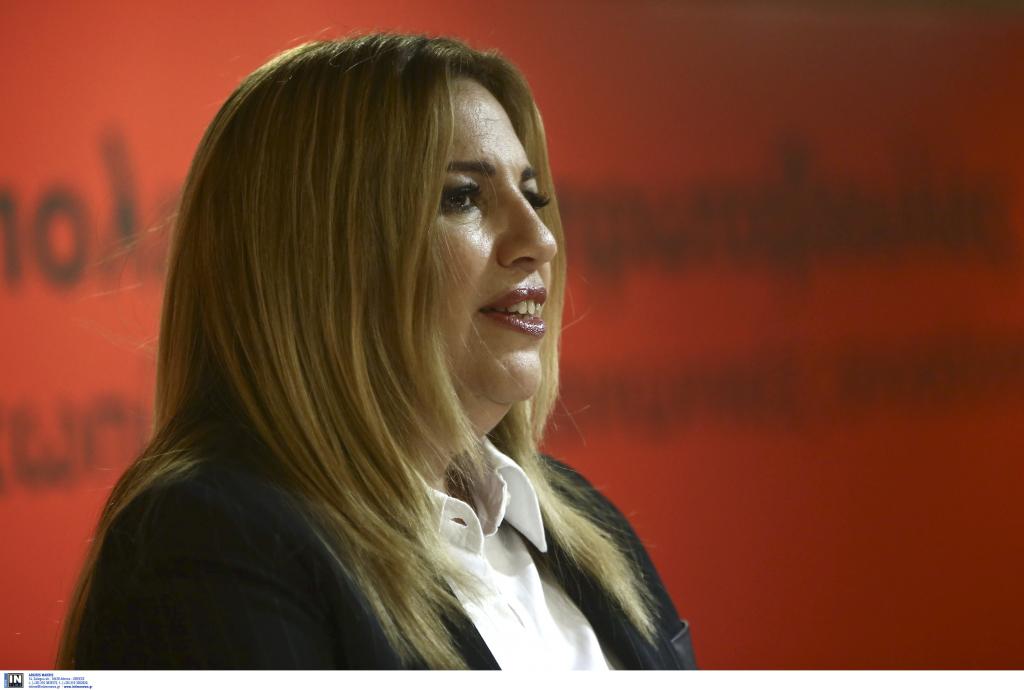 Γεννηματά: Γιατί δεν έγινε μέχρι τώρα εξυγίανση;