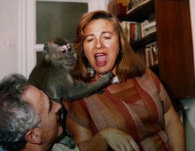 Δύο ντοκιμαντέρ για ανήσυχες οικογένειες στο Exile Room