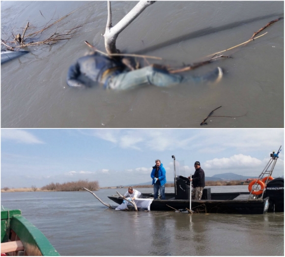 Πτώμα αγνώστου βρέθηκε στον Εβρο