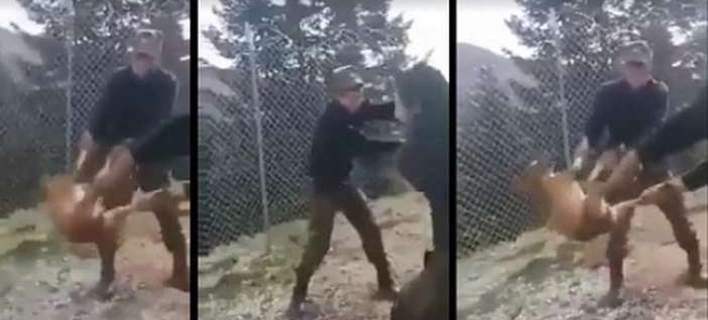 Επέζησε το σκυλάκι που πέταξαν σε γκρεμό δύο φαντάροι