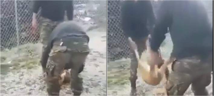 Οι βασανιστές του σκύλου ζητούν συγγνώμη… κατόπιν εορτής