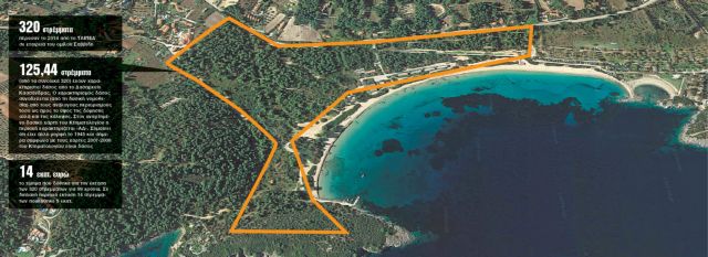 Παλιούρι Χαλκιδικής: «Βαφτίζουν» οικόπεδο το δάσος του Ιβάν