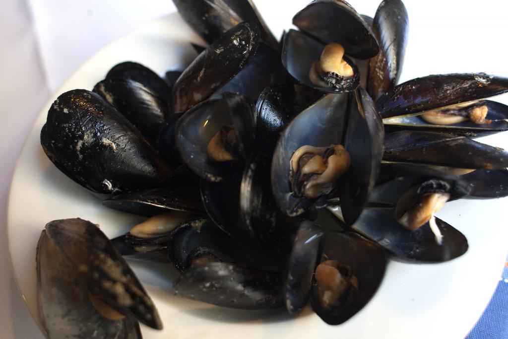 Κατάσχεση ληγμένου σολομού και ακατάλληλων οστράκων