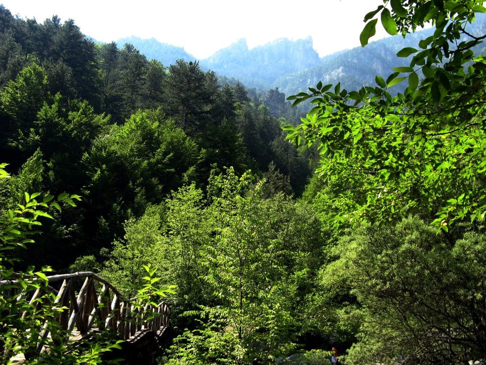 «Μετεξεταστέα» η Ελλάδα στην εφαρμογή νομοθεσίας προστασίας της φύσης