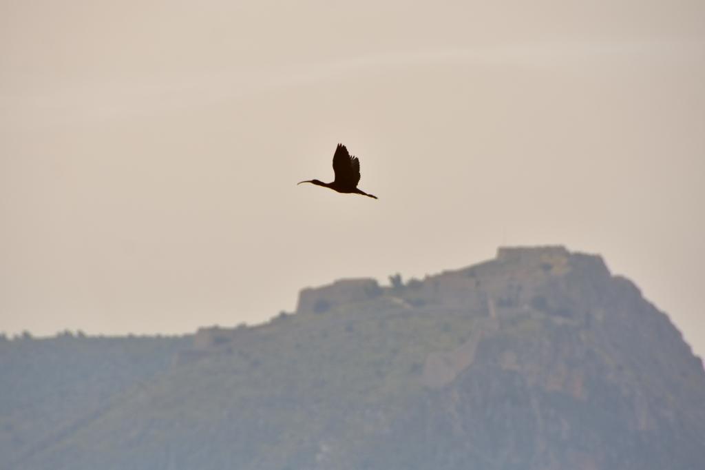 Με σκόνη και υψηλές θερμοκρασίες μπαίνει ο Απρίλιος