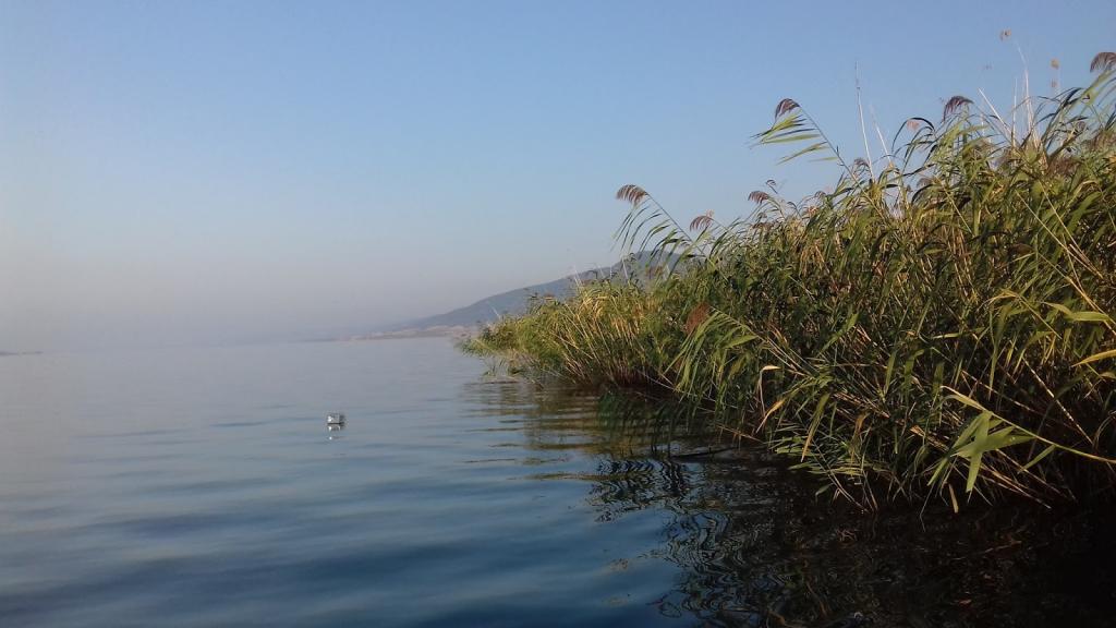 Νεκρός ο 40χρονος ψαράς που αγνοείτο στη λίμνη Βόλβη
