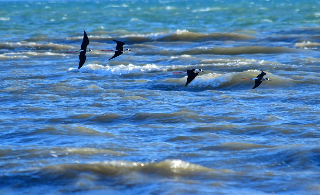 Κλιματική αλλαγή: Δραματικές οι συνέπειες στην Ελλάδα