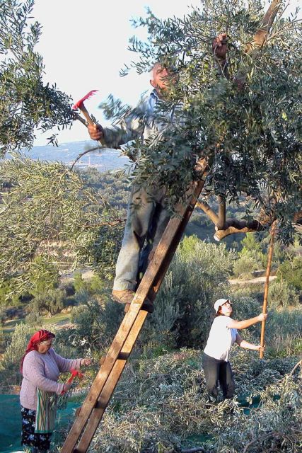 Συντάξεις: Κούρεμα 60% για όσους έχουν αγροτικά εισοδήματα