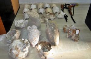 Εφοδος της Αστυνομίας μπλόκαρε τη φυγάδευση αρχαιοτήτων από την Πέρδικα Θεσπρωτίας