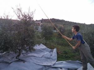 Βόλος: Οι μικροί αγρότες της Κιβωτού