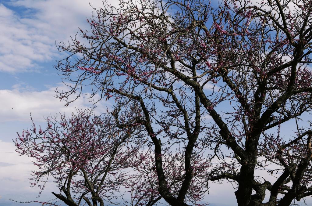 Αστατος καιρός το Μ. Σάββατο – Αίθριος την Κυριακή του Πάσχα