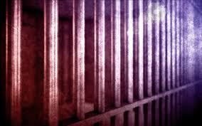 Πατέρας κρατούσε το διανοητικά άρρωστο γιο του σε κλουβί 20 χρόνια