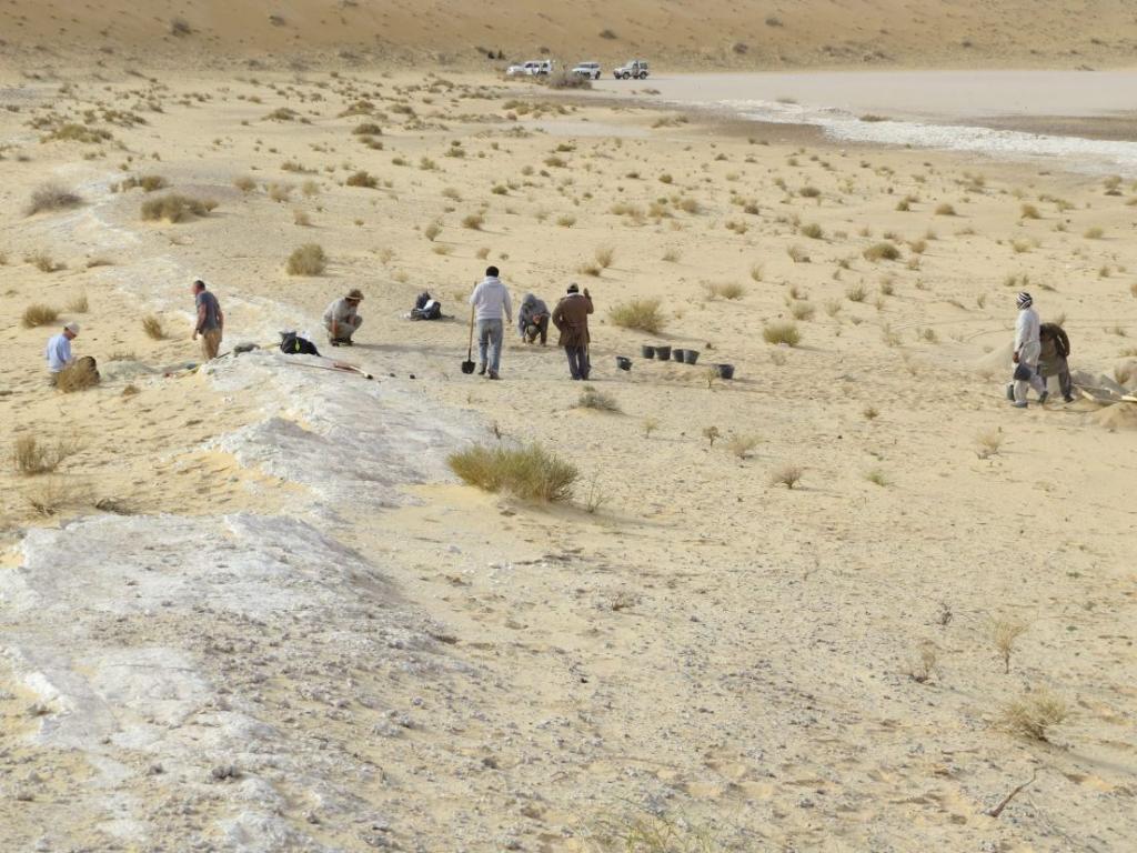 Βρέθηκε το αρχαιότερο απολίθωμα του Homo Sapiens, ηλικίας 90 χιλ. ετών
