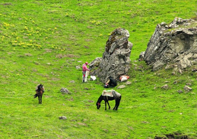 Οι «κυνηγοί» βοτάνων θερίζουν τον Γράμμο!