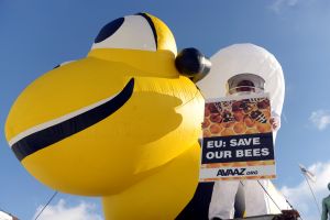 Η ΕΕ απαγορεύει εντομοκτόνα για την προστασία των μελλισών