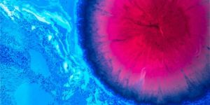 Athens Science Festival: Eπιστήμη χωρίς σύνορα