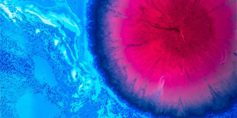 Athens Science Festival: Eπιστήμη  χωρίς σύνορα