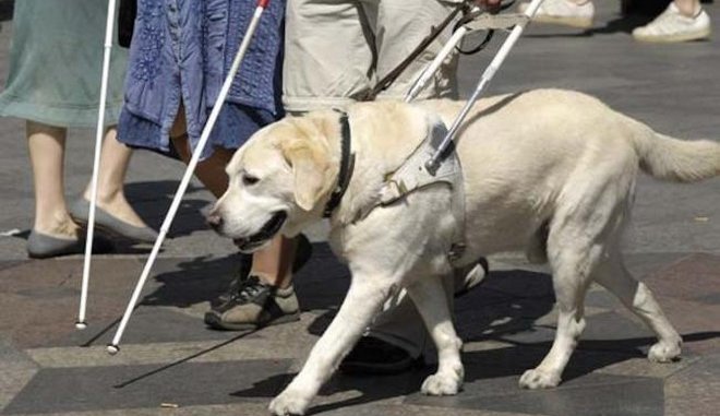 Ταξιτζής αρνήθηκε να επιβιβάσει τυφλή κοπέλα με σκύλο – οδηγό