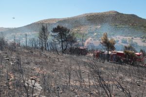 Υπό μερικό έλεγχο η φωτιά στο Σούνιο