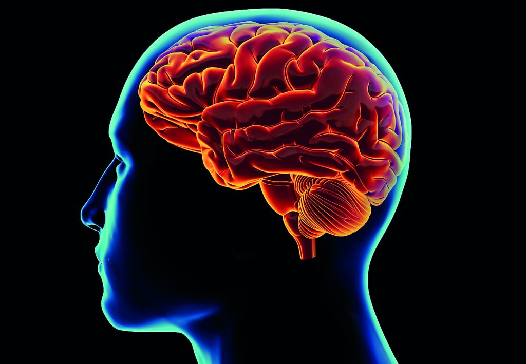 Ελληνας ερευνητής ρίχνει φως στους νευρώνες επιθετικότητας του εγκεφάλου