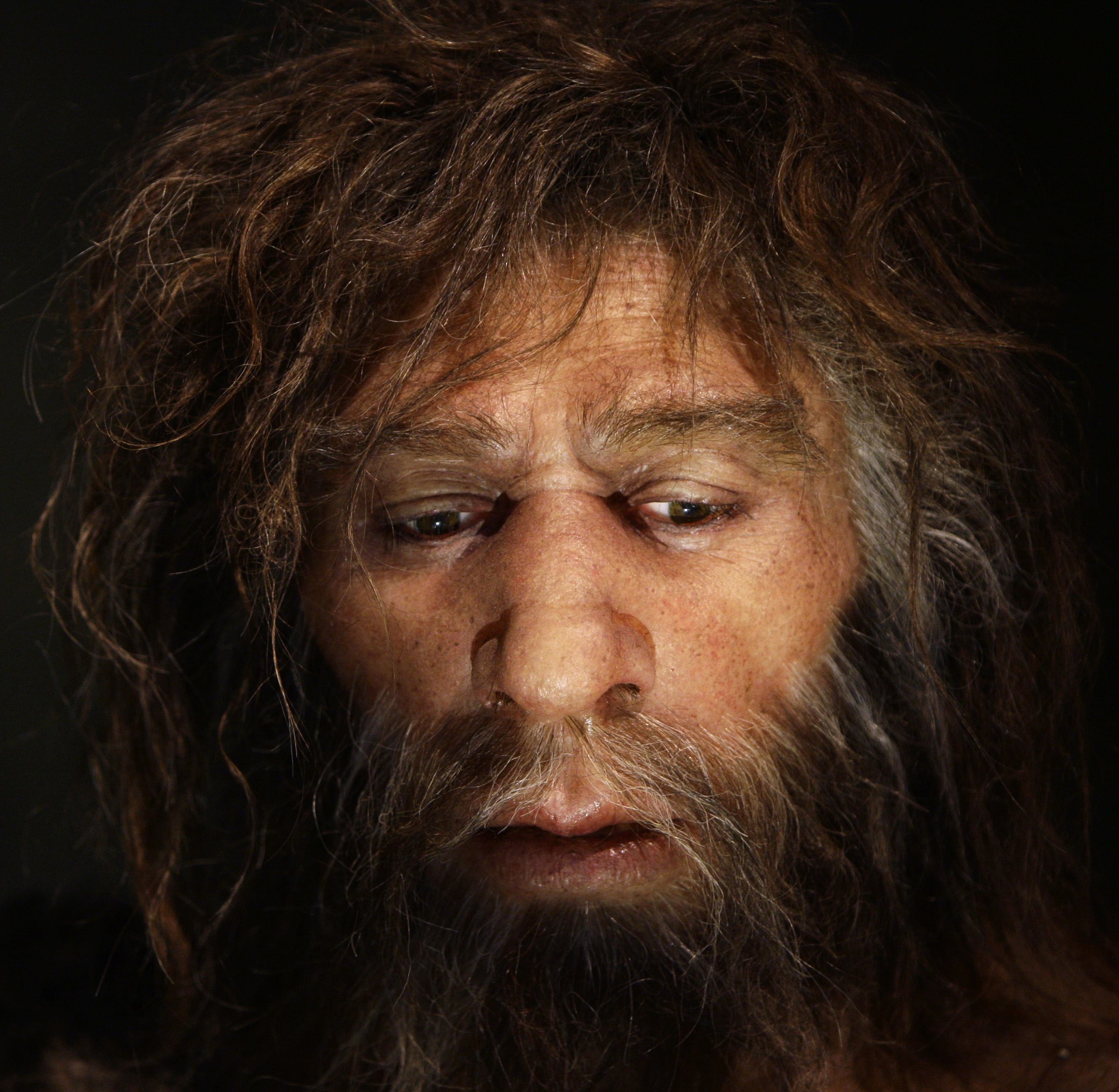 Homo. Неандертальцы. Портрет неандертальца.